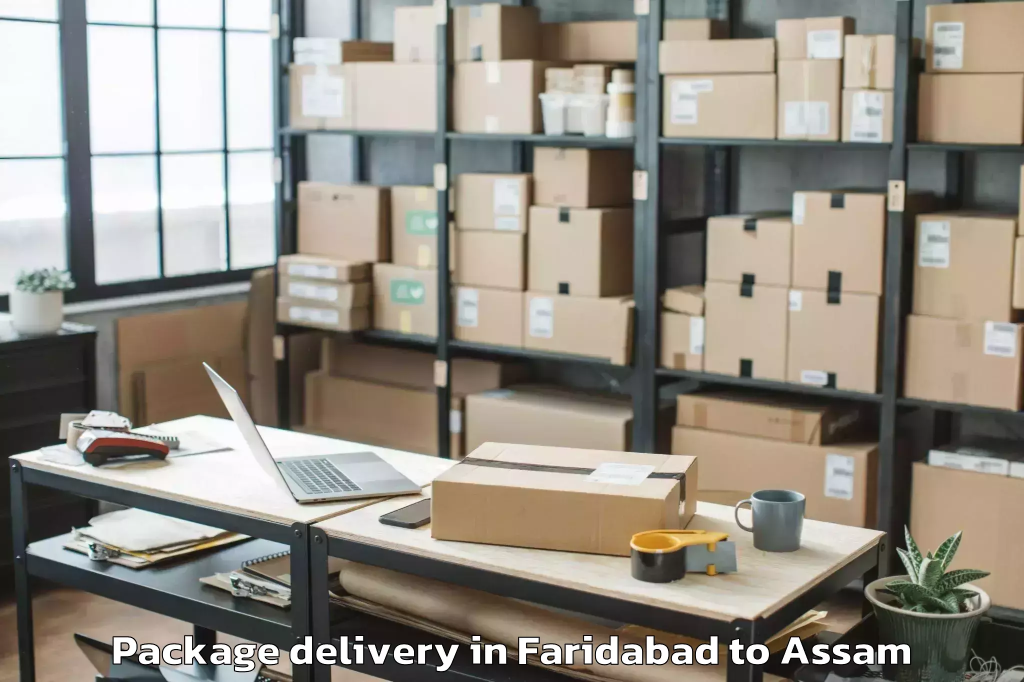 Leading Faridabad to Namrup Package Delivery Provider